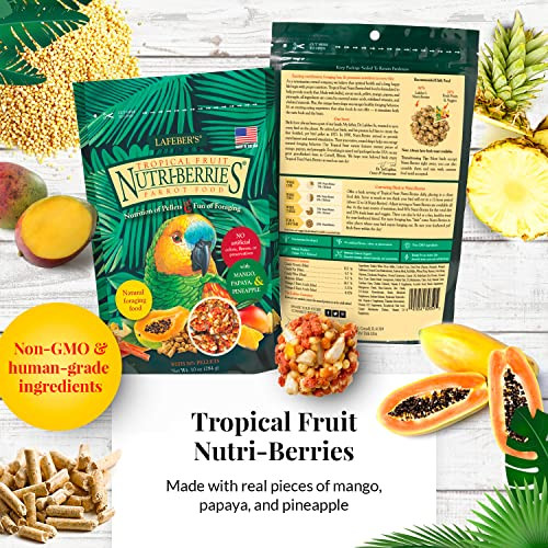 Lafeber'S Gourmet Nutri-Berries Pet Bird Food Variety Sampler Bundles Made With Non-Gmo And Human-Grade Ingredients For Parrots 10 Oz. Each (4 Pk Bundle)
