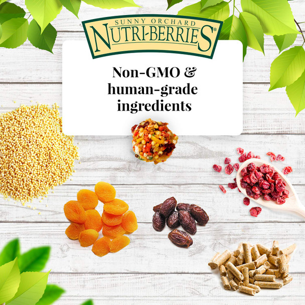 Lafeber'S Sunny Orchard Nutri-Berries Pet Bird Food Made With Non-Gmo And Human-Grade Ingredients For Cockatiels Conures Parakeets (Budgies) Lovebirds (Sunny Orchard 10 Oz Pack Of 2)