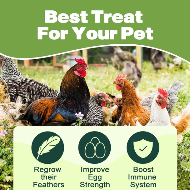 Liwii 5Lb Dried Black Soldier Fly Larvae 86X Calcium Than Dried Mealworms High Protein Non-Gmo Organic Chicken Feed Reptile & Amphibian Food