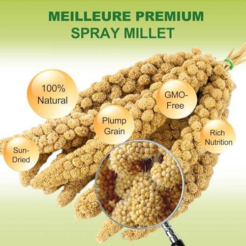 Meilleure 2Lb Spray Millet Bird Treat For Parakeets Natural Sun-Dried Birds Millet Spray For Parrots Finches Cockatiel Budgie & Hamster Bird Food Bulk
