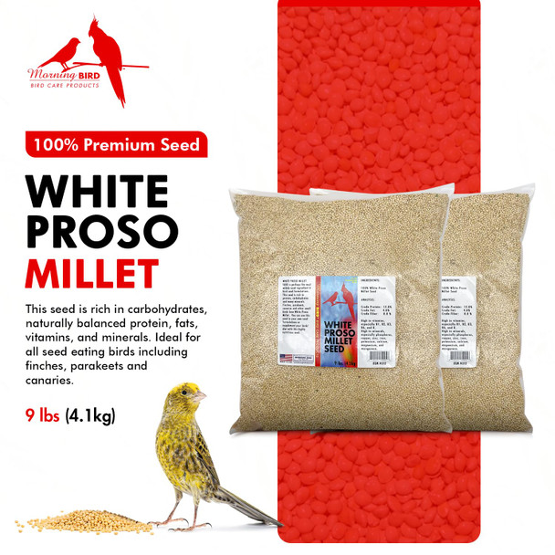 Morning Bird Morning Bird White Proso Millet Bird Seeds 1.5 Lbs Ãƒ¢Ã‚Š¬Ã‚‚¬Å’ Healthy & Nutritious Pet Bird Food - Bird Seeds For Feather Growth Ãƒ¢Ã‚Š¬Ã‚‚¬Å’ Perfect For Finches Parakeets & Other All Pet Birds