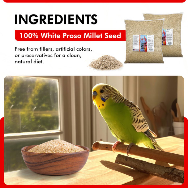 Morning Bird Morning Bird White Proso Millet Bird Seeds 1.5 Lbs Ãƒ¢Ã‚Š¬Ã‚‚¬Å’ Healthy & Nutritious Pet Bird Food - Bird Seeds For Feather Growth Ãƒ¢Ã‚Š¬Ã‚‚¬Å’ Perfect For Finches Parakeets & Other All Pet Birds