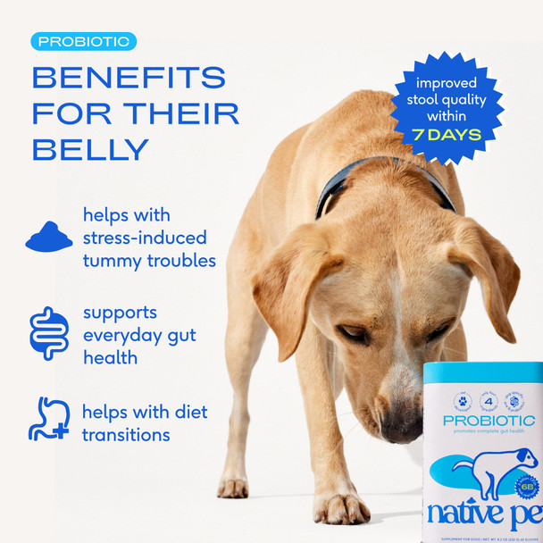 Native Pet Probiotics For Dogs - Dog Probiotics Powder For Digestive Health Gut Support & Immune Boost Ãƒ¢Ã‚Š¬Ã‚‚¬Å’ Vet-Formulated Powder For Maximum Potency With Digestive Enzymes & Prebiotics - 30 Scoops
