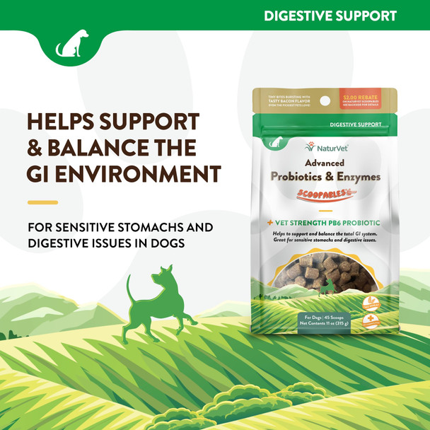 Naturvet Ãƒ¢Ã‚Š¬Ã‚‚¬Å’ Digestive Enzymes For Cats Plus Probiotics Ãƒ¢Ã‚Š¬Ã‚‚¬Å’ 60 Soft Chews Ãƒ¢Ã‚Š¬Ã‚‚¬Å’ Helps Support Diet Change & A Healthy Digestive Tract Ãƒ¢Ã‚Š¬Ã‚‚¬Å’ Aids In The Absorption Of Vitamins & Minerals Ãƒ¢Ã‚Š¬Ã‚‚¬Å’ 30 Day Supply