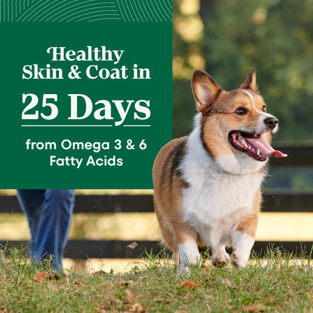 Nutro Natural Choice Small Breed Dog Food Dry Chicken & Brown Rice Recipe 13 Lb. Bag