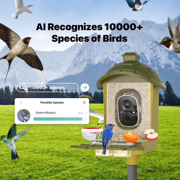 Oddkont Smart Bird Feeder With Camera Bird Feeder Camera 2K Hd Record Video Live View With Solar Panel Ai Identify Species Auto Capture Instant Arrival Alerts For Birds Lover