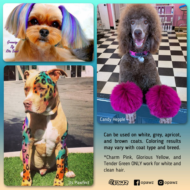 Opawz Permanent Dog Hair Dye Pet Hair Dye Safely Used By Grooming Salons For A Decade Pet Safe Dye Lasts Over 20 Washes Bright Color For Dogs And Horses (Adorable Pink)