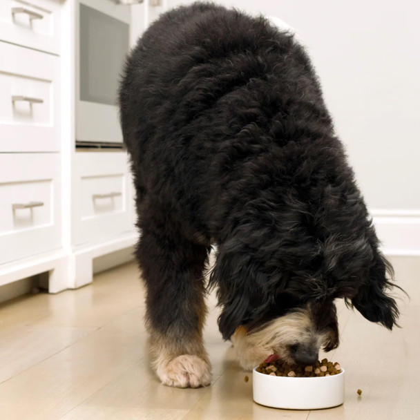 Open Farm Rawmix Grain- Dry Dog Food Protein-Packed Kibble Coated In Bone Broth With Ze Dried Raw Chunks Beef Pork & Lamb Front Range Recipe 3.5Lb Bag