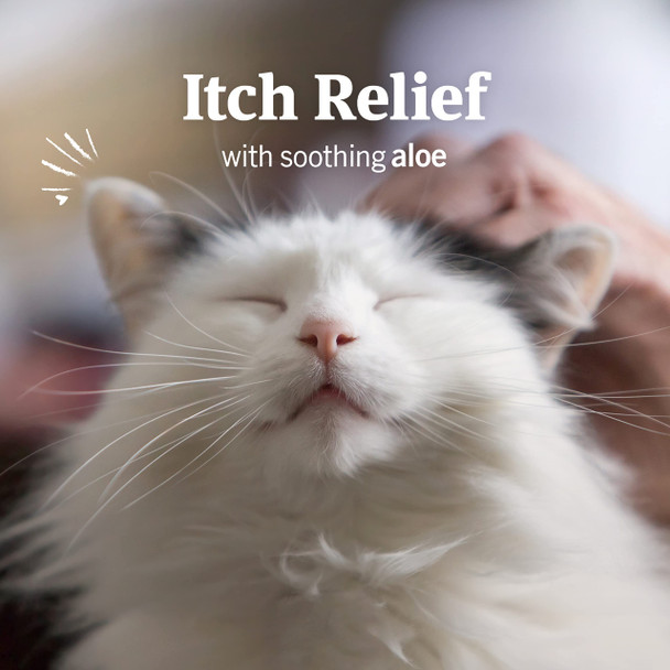 Petarmor Ear Mite Treatment For Dogs Ear Mite Medicine Kills Ticks And Ear Mites To Relieve Itchiness Sooths Ears With Aloe 3Oz