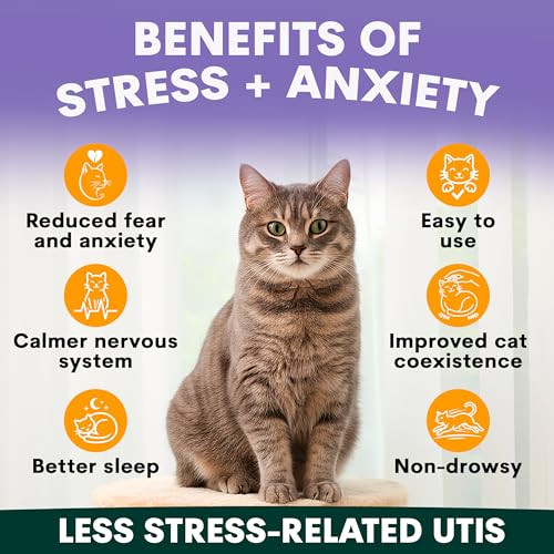 Petz Park Stress & Anxiety Relief For Cats & Kittens - Calming Powder For Cat Relaxation Non-Drowsy Sleep Support Stress Reduction - Helps With Travel Grooming Loud Noises & Separation Anxiety - 60 Scoops