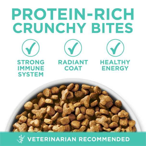 Purina One Sensitive Stomach Sensitive Skin Natural Dry Cat Food +Plus Sensitive Skin And Stomach Formula - 16 Lb. Bag