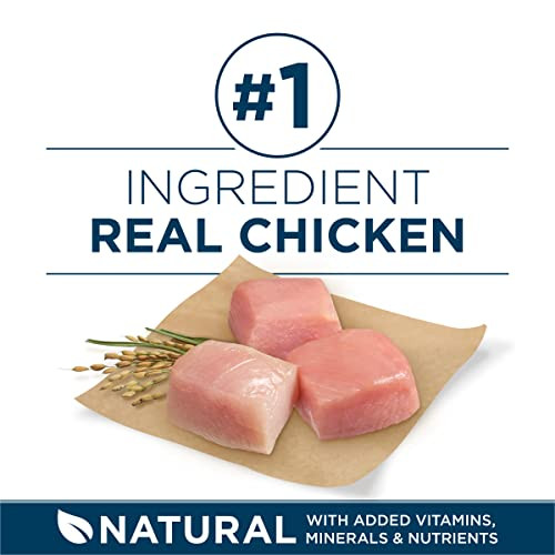 Purina One +Plus Dry Dog Food For Large Adult Dogs High Protein Real Chicken - 31.1 Lb Bag