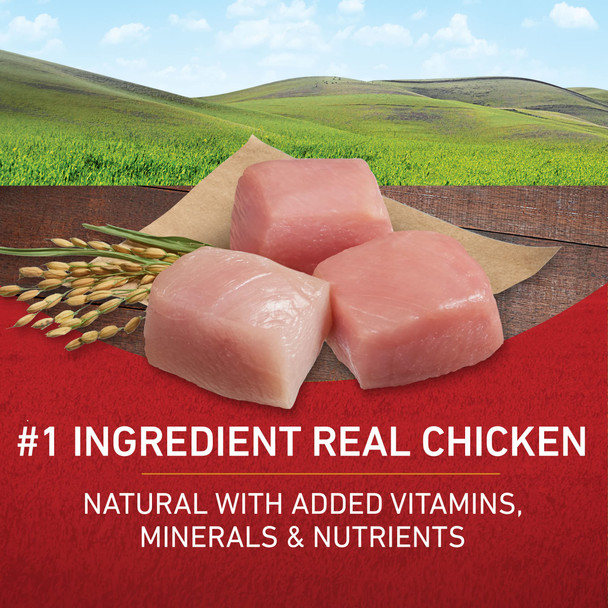 Purina One Chicken And Rice Formula Dry Dog Food - 16.5 Lb. Bag