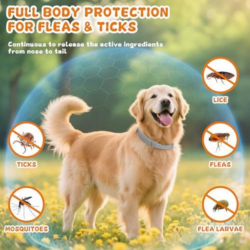 Reguoa 4 Pack Effective Flea Collar For Dogs 25" Adjustable Natural Pet Flea And Tick Prevention Collars For Large Medium Small Dogs Waterproof Fleas Ticks Collar For Puppies 32 Months Protection Gray