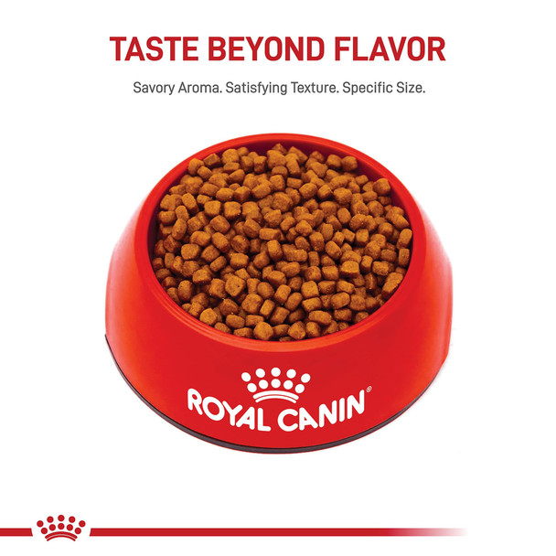 Royal Canin Feline Breed Nutrition Persian Adult Dry Cat Food 7 Lb Bag