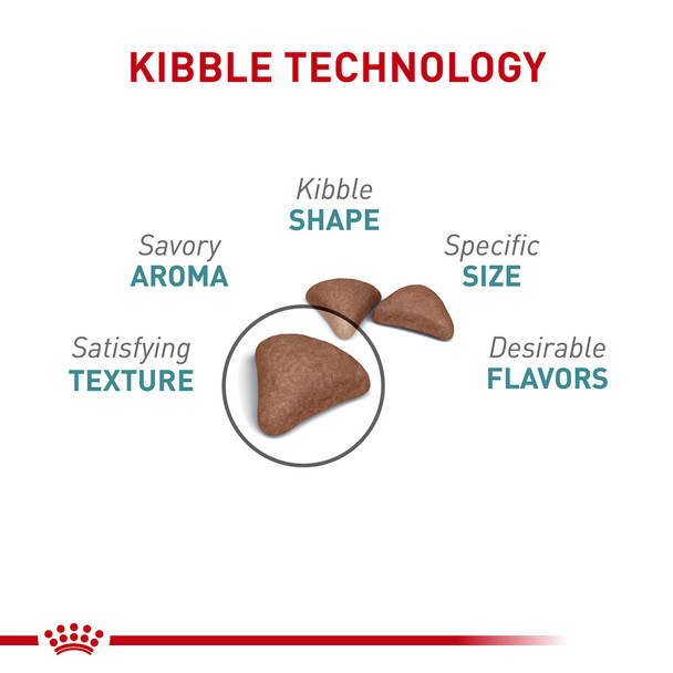 Royal Canin Feline Care Nutrition Hairball Care Adult Dry Cat Food 14 Lb Bag