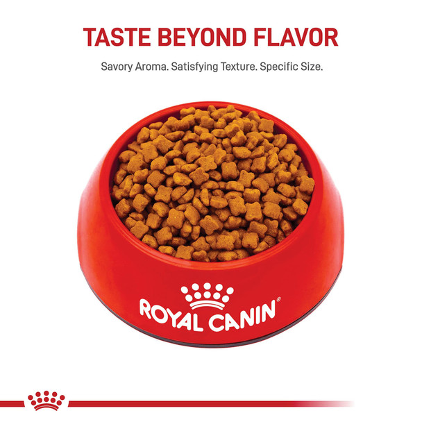 Royal Canin Feline Health Nutrition Kitten Dry Cat Food 7 Lb Bag