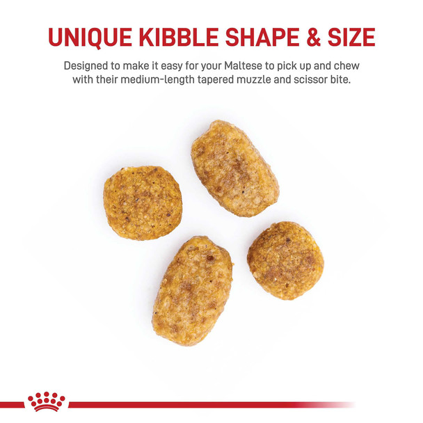 Royal Canin Breed Health Nutrition Maltese Adult Dry Dog Food 2.5 Lb Bag