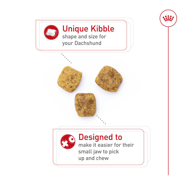 Royal Canin Breed Health Nutrition Dachshund Adult Dry Dog Food 10 Lb Bag