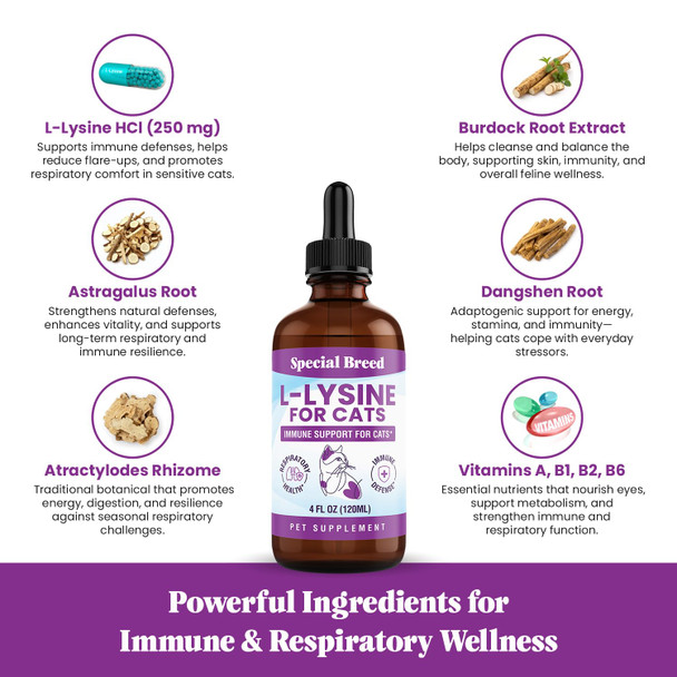 Special Breed L-Lysine For Cats And Kittens Ãƒ¢Ã‚Š¬Ã‚‚¬Å’ Cat Supplement For Immune Respiratory & Eye Support Ãƒ¢Ã‚Š¬Ã‚‚¬Å’ Lysine Powder With Prebiotics Bone Broth Krill & Dmg For Sneezing Vision Immunity Ãƒ¢Ã‚Š¬Ã‚‚¬Å’ 120 Scoops