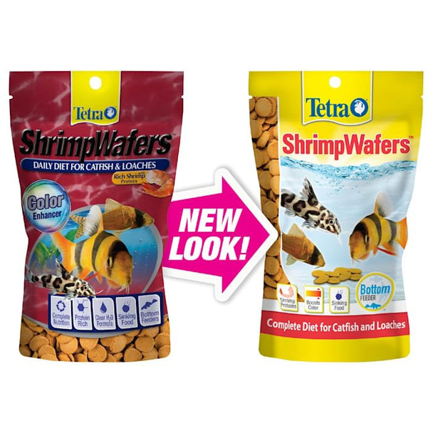 Tetra Shrimpwafers Complete Diet For Catfish And Loaches 3 Ounce