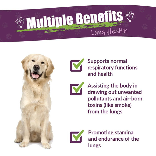 Amber NaturalZ Numo Care Respiratory Support for Dogs | Herbal Formula to Help Maintain Normal Lung Function, Clear Airways, and Immune Health | Natural Aid for Breathing Comfort 4 Fluid Ounce