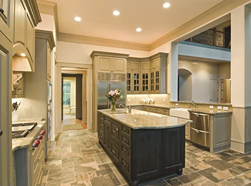 Lithonia Lighting 2LEDTRIM G2 SQ 30K 90CRI FL WWH Gen 2 Downlights 3000K 4.12-Inch White