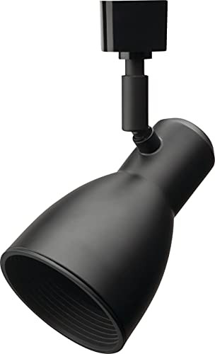 Lithonia Lighting LTHNSTBF BR20 DBL M2 Baffle Head Track Lighting Black