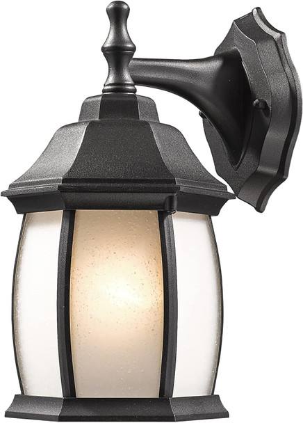 Z-Lite T20-BK 1-Light Outdoor Wall Light with Black Frame Finish Clear Beveled