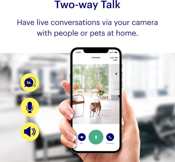 CANARY View: Indoor Security Camera | Home Monitoring, WiFi, Wide-Angle Lens, Motion Alerts, Compatible with Alexa & Google Home, Black CANARY View: Indoor Security Camera | Home Monitoring, WiFi, Wide-Angle Lens, Motion Alerts, Compatible with Alexa & Google Home, Black