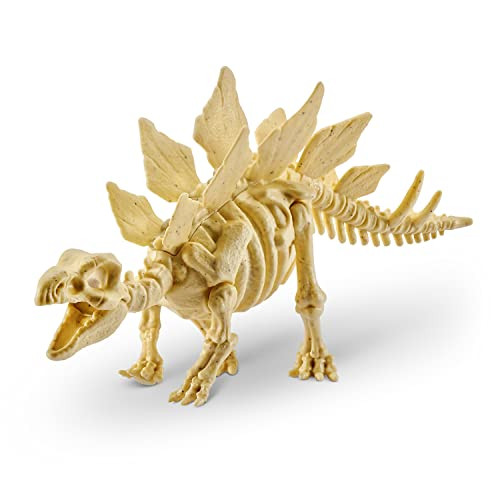 Robo Alive Dino Fossil Find - Stegosaurus by ZURU Excavate Dinosaur Fossils Digging Kit Collectible Toy with Slime, Multi-Color, Small