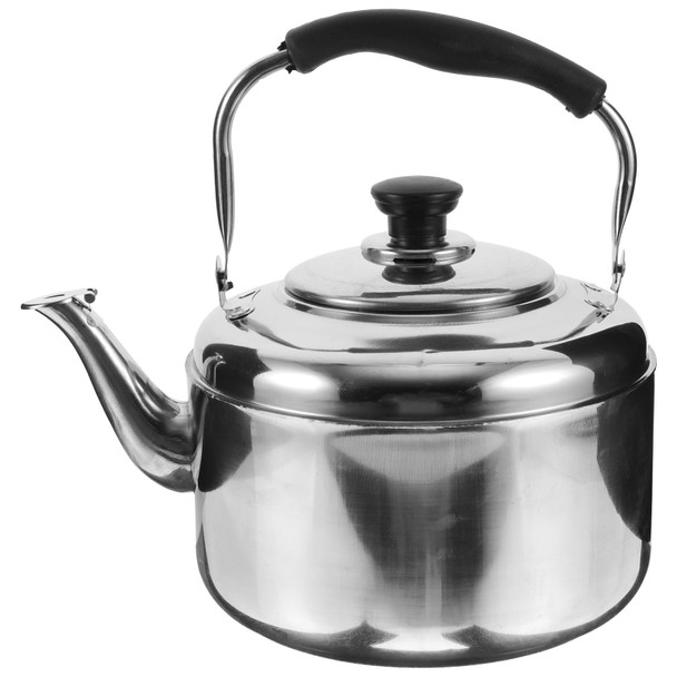Doitool Stainless Steel Tea Kettle For Stove Top: Metal Teapot Water Kettle Water Tea Pots For Stove Top Camping Stove Gas Stove Water Kettle 2L