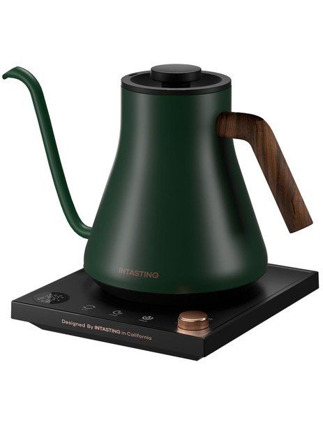 Intasting Electric Kettles Gooseneck Electric Kettle ±1„‰ Temperature Control Stainless Steel Inner Quick Heating For Pour Over Coffee Brew Tea Boil Hot Water 0.9L Black