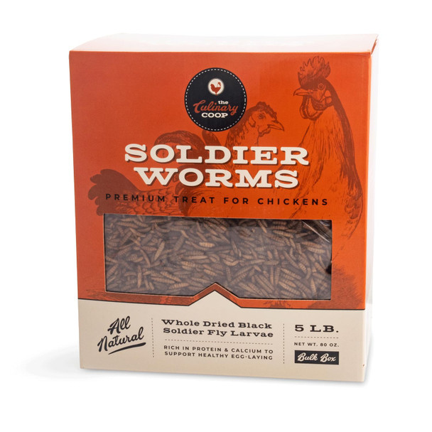 Fluker'S Culinary Coop Premium Chicken Treats Dried Soldier Worms Packed With Protein And Calcium 100% Natural Rich Grubs For Chicken Backyard Birds And Reptiles 16 Oz