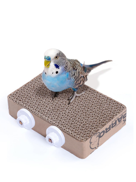 Jons Nty 7.3 Inch Paper Bird Toys Bird Platform Parrot Toy Help Birds Clean Beak Release Stress Reduce Boredom - Suitable For Budgie Cockatiel Lovebird And Other Small To Medium-Sized Pet Birds