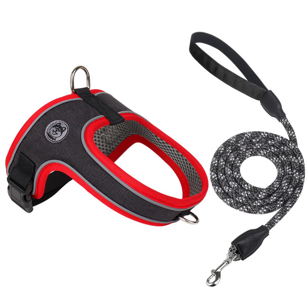 Mengbei Tribe Dog Harness And Leash Set No Pull Saddle Style Pet Harness Breathable Mesh Adjustable Reflective Dog Vest For Dogs And Cat Medium Small Harness 2 D-Rings (Orange S)