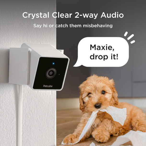 Petcube Cam Indoor Wi-Fi Pet and Security Camera with Phone App, Pet Monitor with 2-Way Audio and Video, Night Vision, 1080p HD Video and Smart Alerts for Ultimate Home Security Petcube Cam Indoor Wi-Fi Pet and Security Camera with Phone App, Pet Monitor with 2-Way Audio and Video, Night Vision, 1080p HD Video and Smart Alerts for Ultimate Home Security