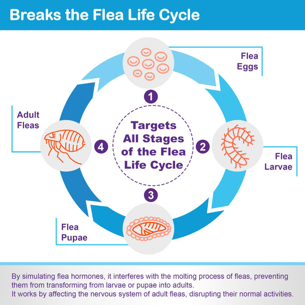 Proelobara Topical Flea And Tick For Large Cats: Waterproof Topical Cat Flea And Tick Â€Œ Fast-Acting & Long-Lasting At Home Control For Cats Over 9 Lbs And 8 Weeks Or Older Â€Œ 6-Dose Supply