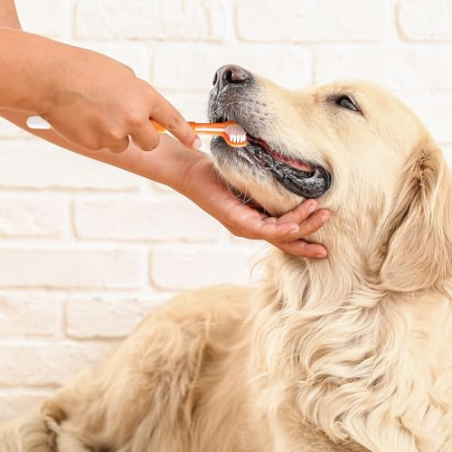 Xjklbyq Dog Toothbrush 3 Sided Toothbrush 4Pcs Triple Head Dog Toothbrushes For Dogs Dental Care With Soft BristlesCleaning Brushes With Long Handle For Dog Cat Oral Dental Health