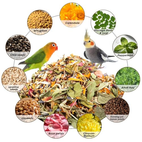 Abizoo Cockatiel & Conure Birds Foods Treats Seed Supplement For Love Birds Quaker Parrot Parakeets Digestive Health & Feather Support With Chia Flax Seeds Calendula Natural Comida Para Pajaritos