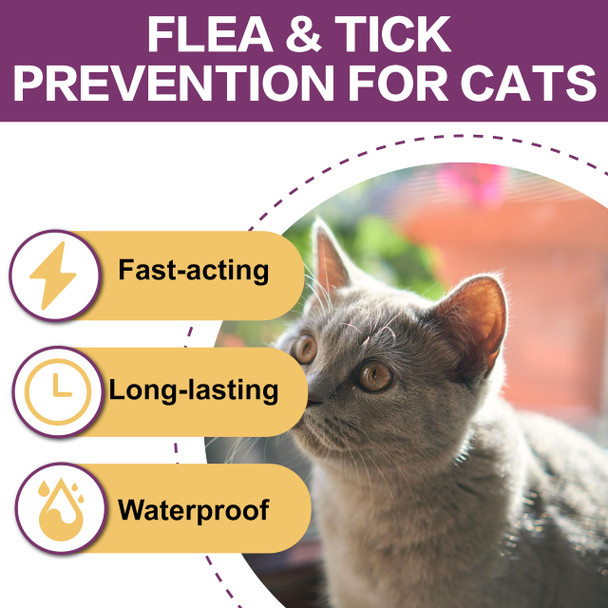 Advanllent Flea And Tick Prevention For Cats Flea And Tick Treatment For Cat Kitten Flea & Tick Control Over 1.5 Pounds 6 Doses
