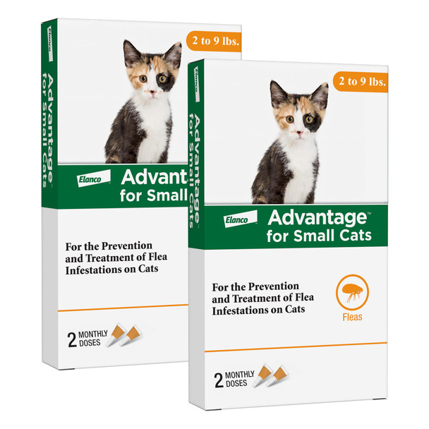 Advantage Topical Cat Flea Treatment And Prevention For Small Cats 2-9 Lbs. Apply Flea Drops Monthly 2 Treatments