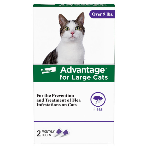 Advantage Topical Cat Flea Treatment And Prevention For Large Cats Over 9 Lbs. Apply Flea Drops Monthly 2 Treatments