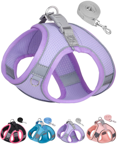Aecllcea Dog Harness For Small Medium Sized Dog Step In Puppy Harness And Leash Set Training Walking. (Blue S)