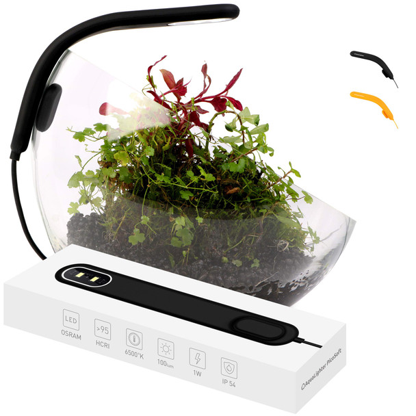Aqualighter Fish Tank Light - Clip On Aquarium Light - Aquarium Light For Plants - Led Flexible Lamp For Freshwater Small - Picosoft Black 5 Gallon