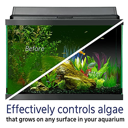 Aqueon Fish Tank Aquarium Algae Remover 4 Oz