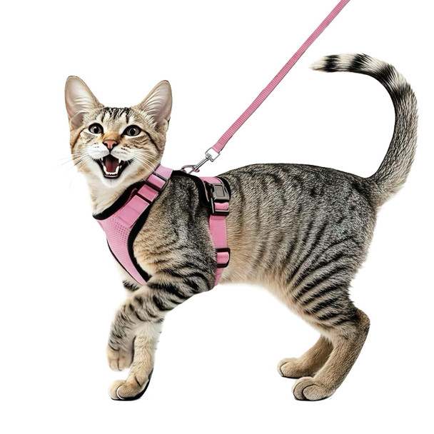 Bayfun Cat Harness And Leash SetEscape Proof Adjustable Cat HarnessSoft And Breathable Kitten Harness And Leash With Reflective Strips For Walking And Traveling(BlackS)
