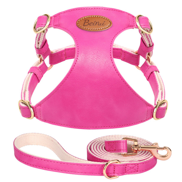 Beirui Stylish Pu Leather Dog Harness And Leash Set For Small Dogs Adjustable Step In Puppy Harness With Breathable Mesh Lining And Durable Metal Buckle For Walking Traveling(BrownXs)