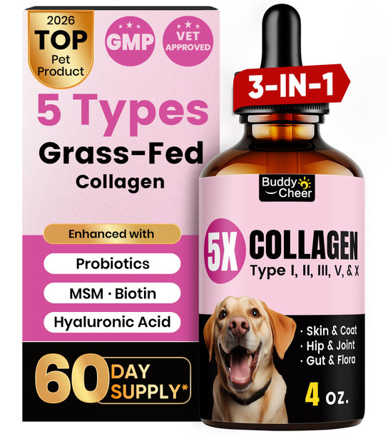Buddycheer Premium Collagen For Dogs & Cats 5 Types Of Grass-Fed Collagen (I Ii Iii V & X) Fast Allergy & Itch Relief Dog Col Geno With Msm Biotin & Hyaluronic Acid Supports Healthy Skin & Joints 120Ml