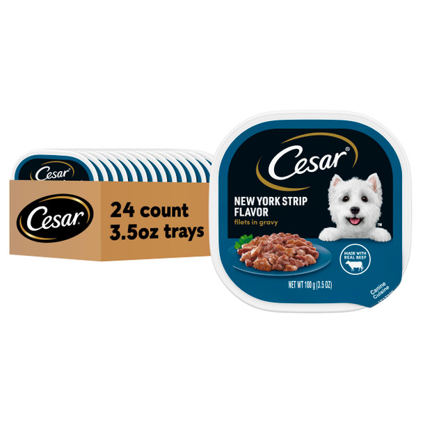 Cesar Filets In Gravy Adult Wet Dog Food Filet Mignon Flavor Wet Food For Dogs 3.5 Oz Trays 24 Count
